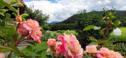 Ferienwohnung Belchenblick