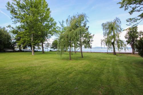 Panoráma, Balatonlelle (zdjęcie 4)
