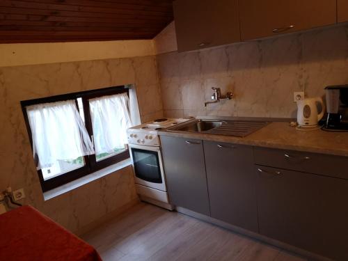 Apartment Gina in Rukavac