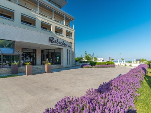 New Belvedere - image 6