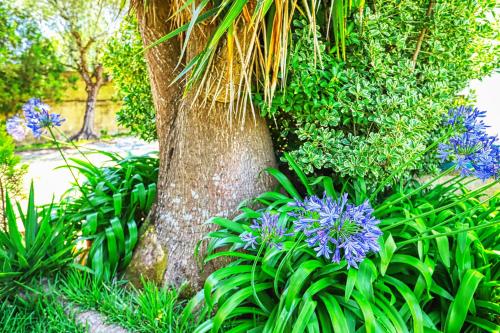 Lugar Saloio Sintra - image 13