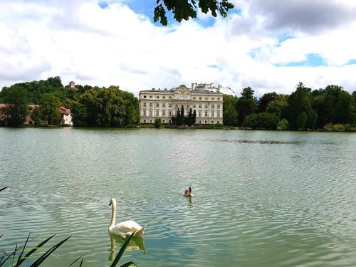 Hotel Via Roma, Salzburg (photo 7)