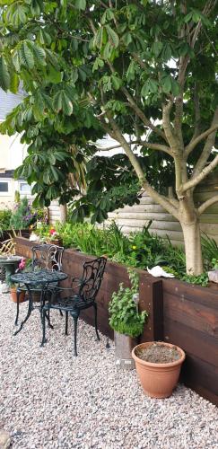 Garden, Pensalda Guest House in Newquay Tretherras