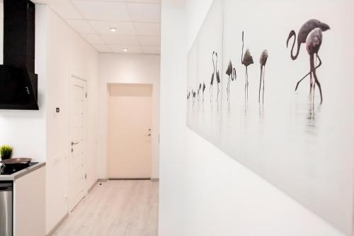 Apartments Daina Room Type - Deluxe Studio