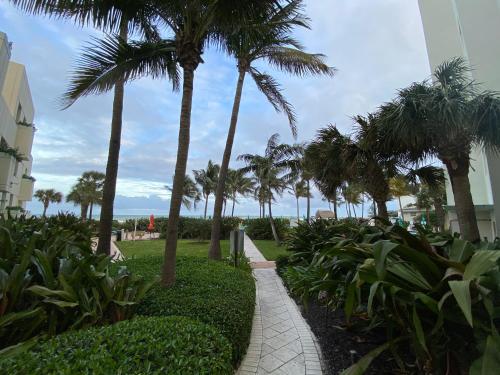 Amazing Miami Oceanfront Building FREE PARKING