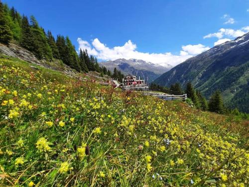 Alpengasthof Gaislach Alm Sölden