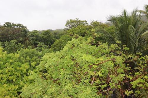 Hotel Posada Seremein Roatan