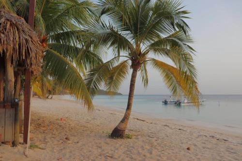 Hotel Posada Seremein Roatan