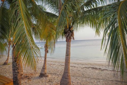 Hotel Posada Seremein Roatan