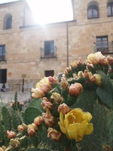  Palacio de Guzmán in Guzmán