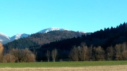 Ferienwohnung Belchenblick