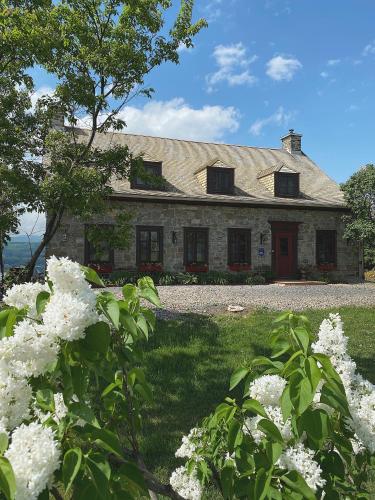 Domaine Steinbach Cidrerie, Gîte et Verger - Accommodation - St-Pierre-de-l'Île-d'Orléans