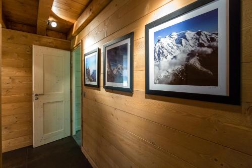 Grand chalet Le Trappeur - Chamonix