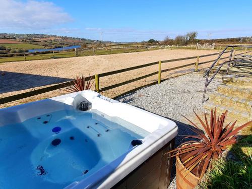 Dexter Penryn - image 12