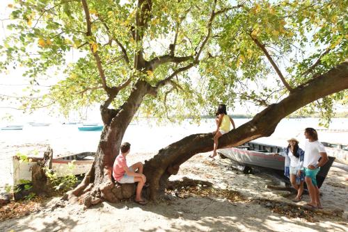 Veranda Tamarin Hotel & Spa Veranda Tamarin Hotel & Spa