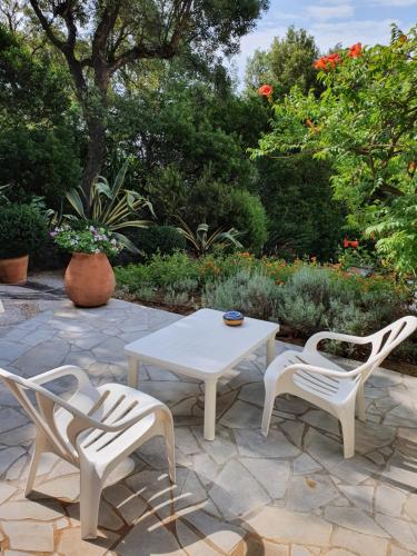 Villa Port Sud photo 16