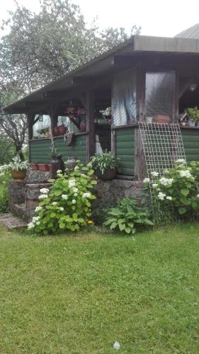 Agroturystyka z kajakiem, Filipów (Foto 7)