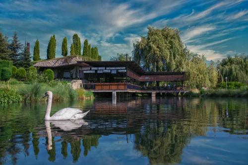 艾特诺村卡达西酒店 艾特诺村卡达西酒店