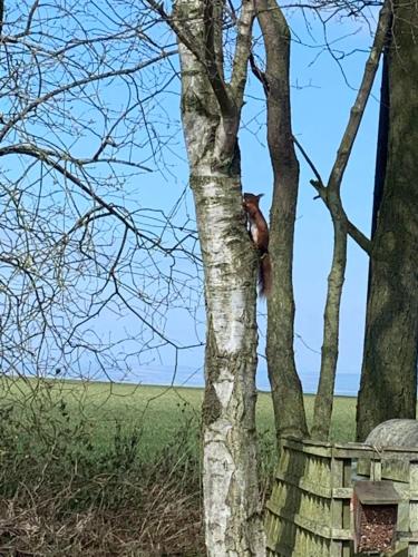 The Old Station Guest House - image 11