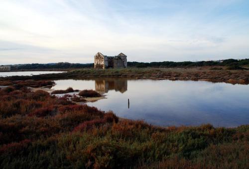 Casa Vela Latina gîte à louer Stintino