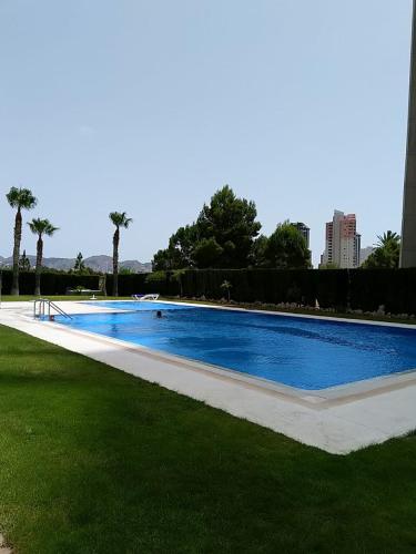  Torre Pinar I, Pension in Benidorm