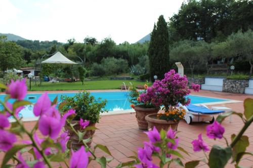 Villa con piscina Le Due Querce - Accommodation - Bosco