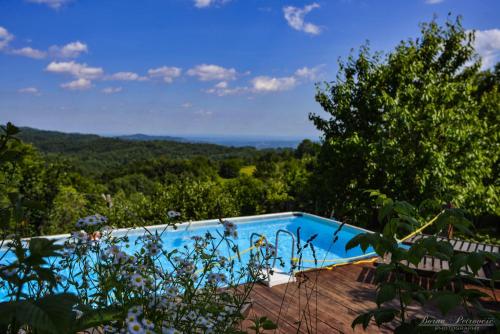 Kolam renang, Guest House Lagotto's Peak in Doljani Zumberacki