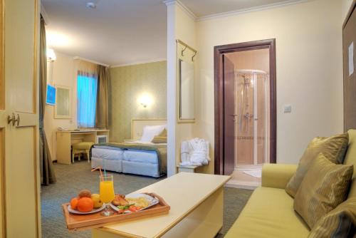 Hotel Iva & Elena - image 10