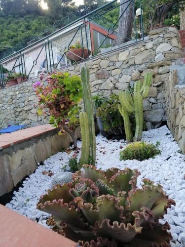 Agriturismo Un Mare di Fiori