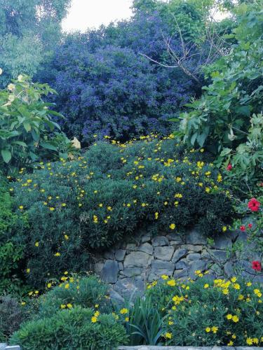 Agriturismo Un Mare di Fiori