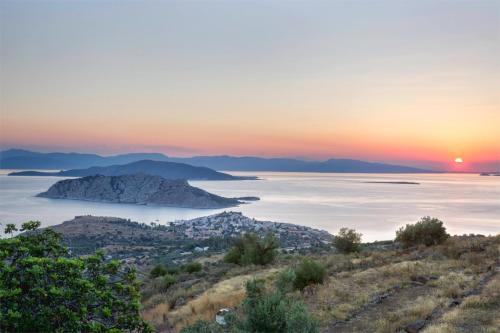 Aegina Colors