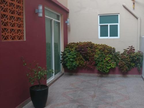 Mexico City Apartamentos - Los mejores precios + Fotos HD de