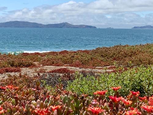 Rosarito Beach House Sleeps 14 & Steps to Sandy Beach Mins to Downtown