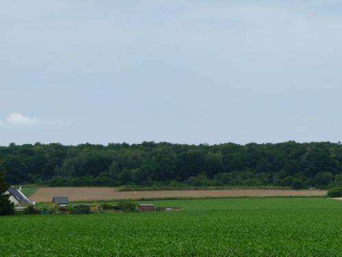 Les Landes avec Terrasse et Jardin in Airport