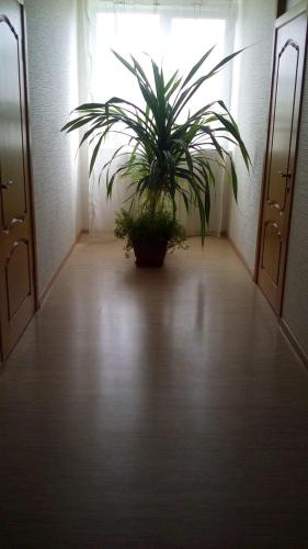 Guest House Baron - main image