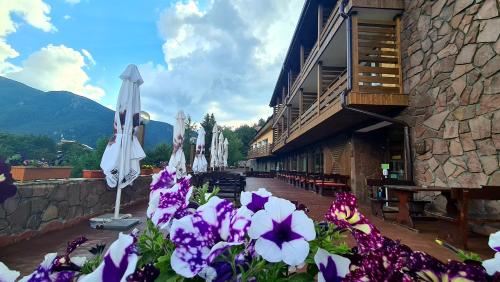 Accommodation in Kyustendil