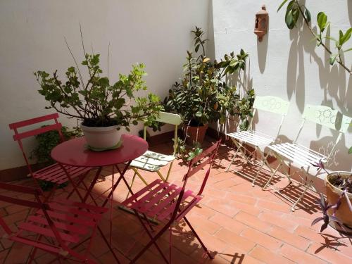 Patios con encanto, Kordoba (zdjęcie 9)