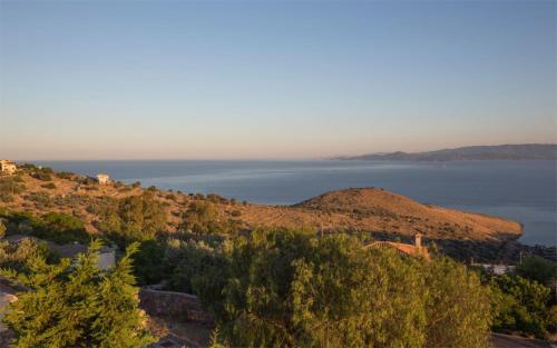 Aegina Colors