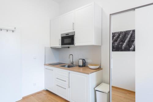 Residence Tesnov Apartments Near The Old Town - Easy Self Check in, Прага (фото 4)