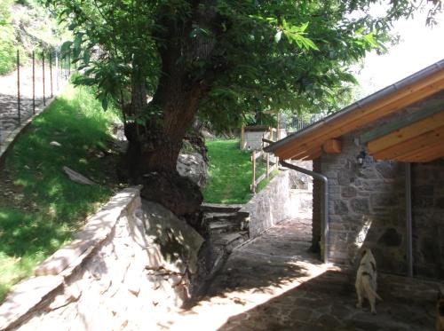 Agriturismo Ai Ronchi - image 3