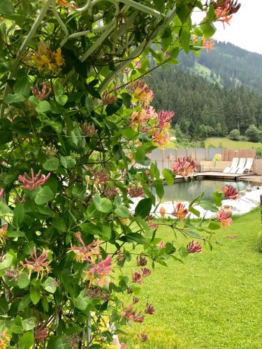 Apartments Schneiterhof - Der Frei-Raum