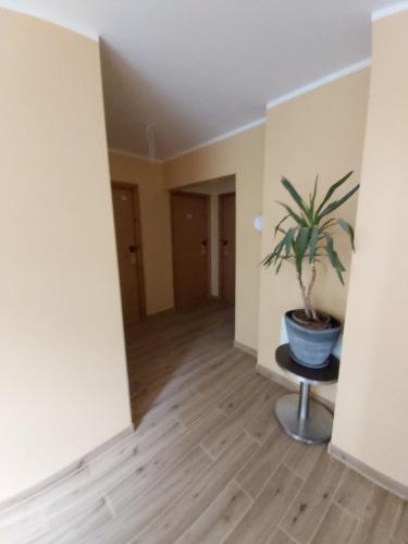 Viva Nord Hotel Viva Nord Hotel