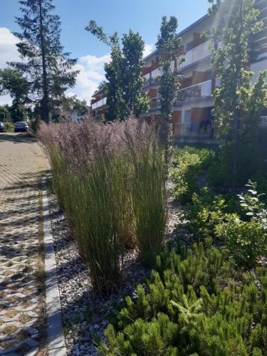 Aparthotel Residence Jastrzębia Góra - image 12