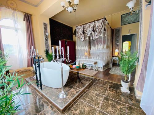 Chateau Vincze in Sátoraljaújhely