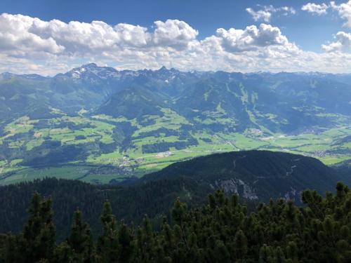 Amadehaus - image 7