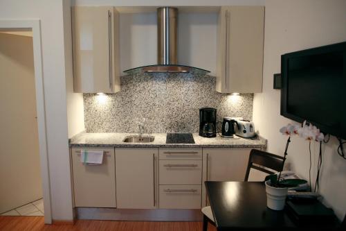 La Scala Apartments, Vídeň (fotografie 9)