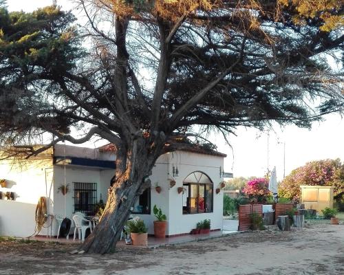  4 bedrooms house at Rota 50 m away from the beach with sea view enclosed garden and wifi in Rota