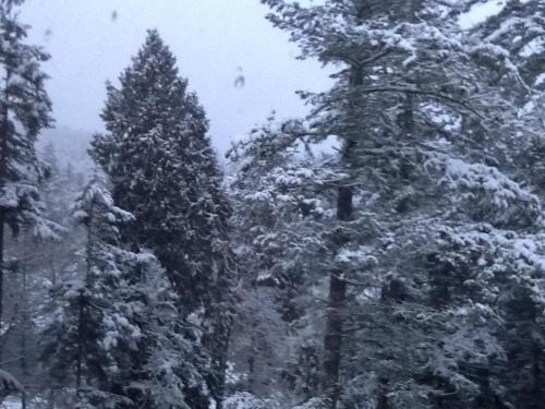 ทัศนียภาพ, Wisteria Honeymoon Cottage in ซูเก (บริติช โคลัมเบีย)