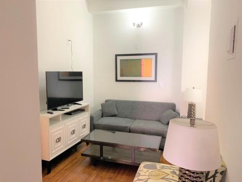 Murray Hill Apartments 30 Day Stays - image 3