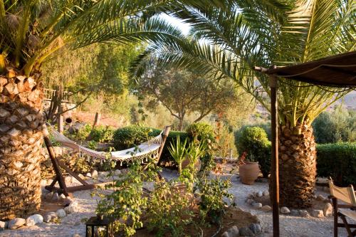 Yiannis Retreat - image 8